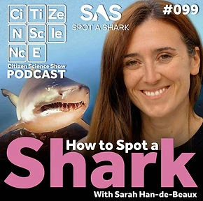 Podcast Podcast