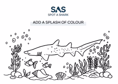 Colouring In Activity Sheet