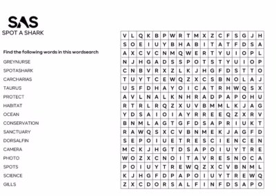 Wordsearch Activity Sheet