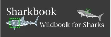 Sharkbook