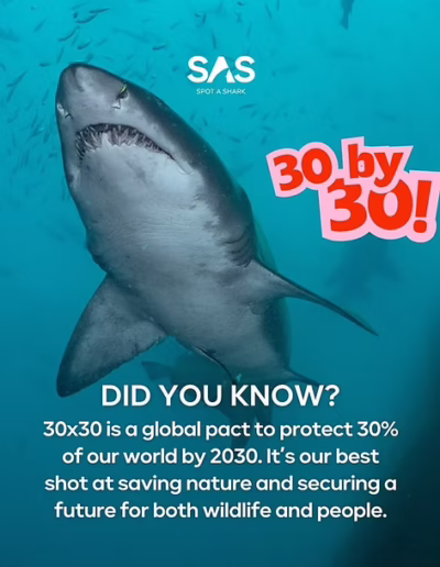 30 by 30