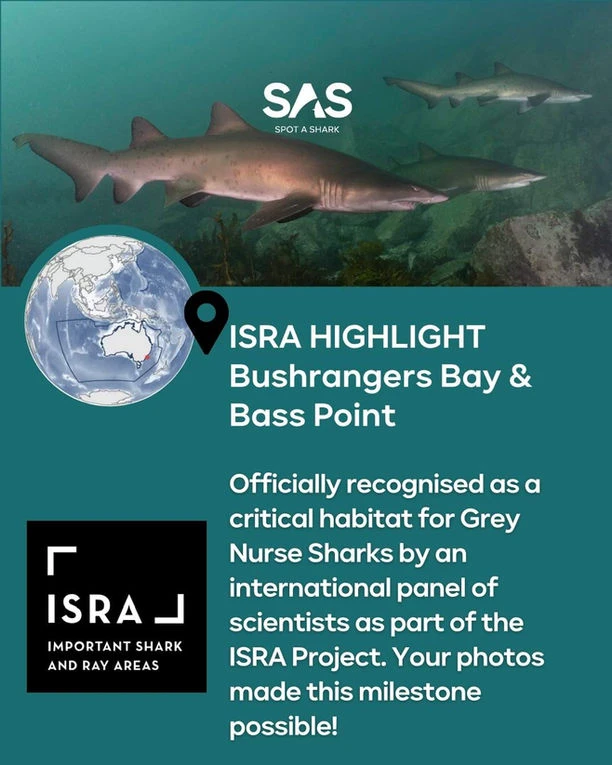 ISRA HIGHLIGHT Bushrangers Bay & Bass Point