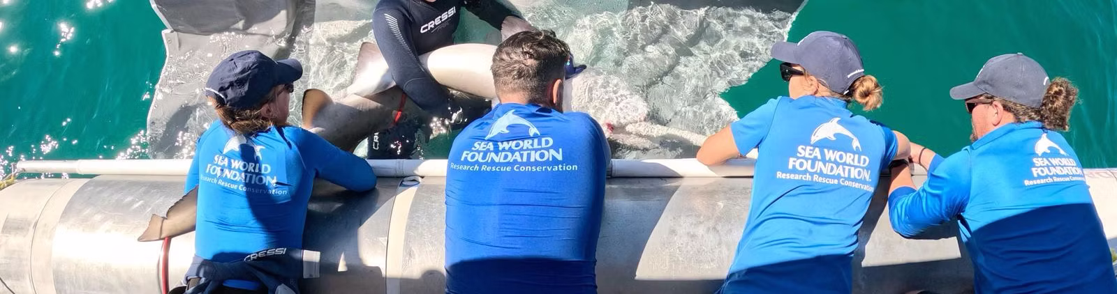Rescue