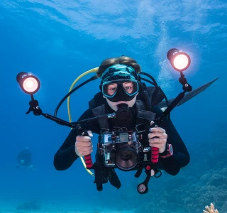 Photograph a shark